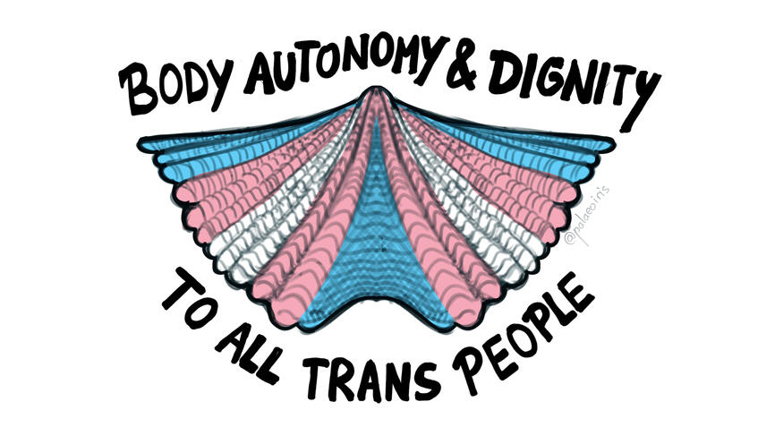 Trans rights Trans Liberation Trans Pride brachiopod paleoart design