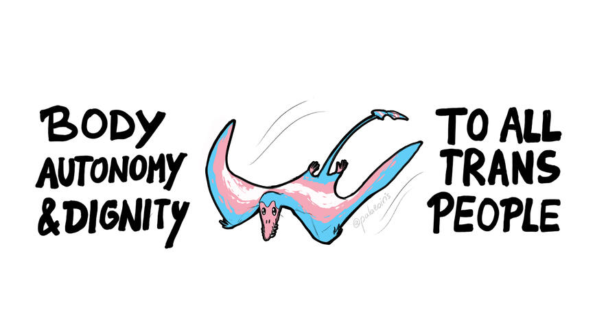 Trans rights Trans Liberation Trans Pride pterosaur paleoart design