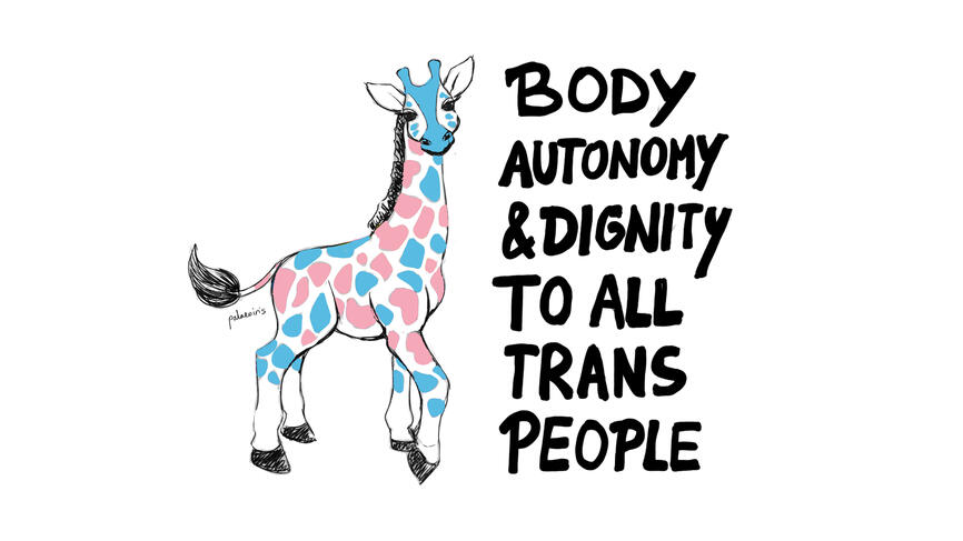 Trans rights Trans Liberation Trans Pride giraffe scienceart biologyart bioart design