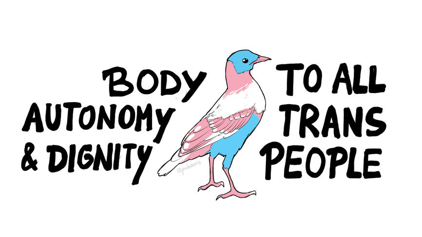 Trans rights Trans Liberation Trans Pride bird art design