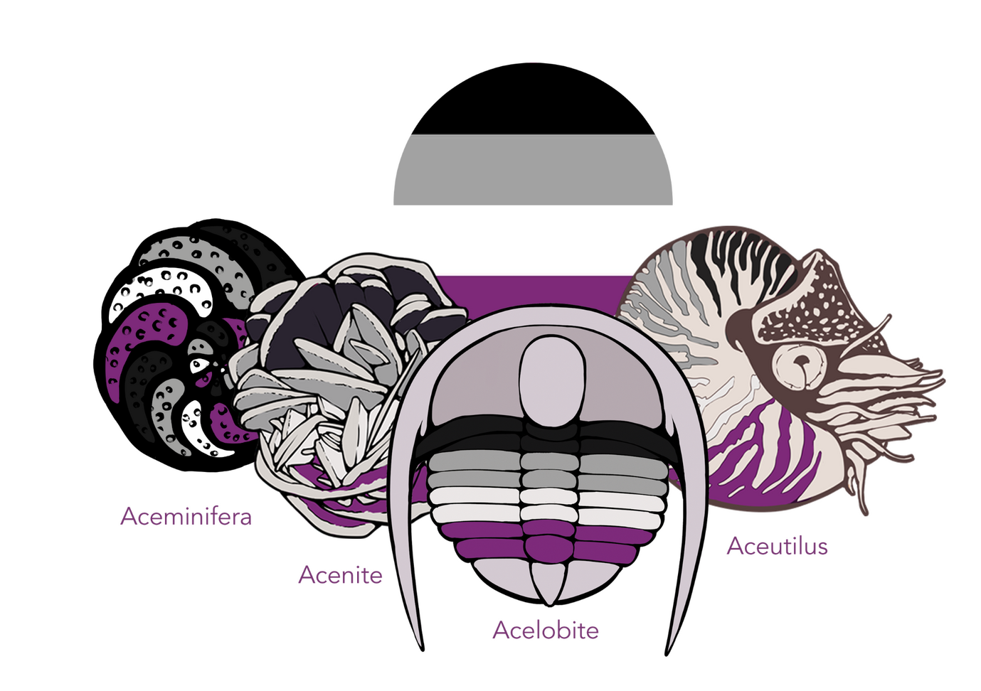 Asexual pride flag