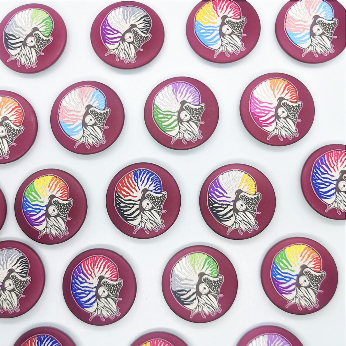Nautilus pompilius Ammonite enamel pins featuring LGBT+ pride flags