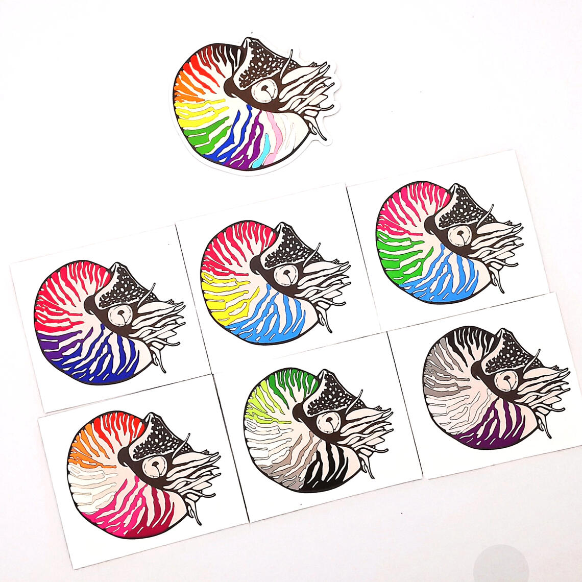 Nautilus pompilius Ammonite stickers featuring LGBT+ pride flags